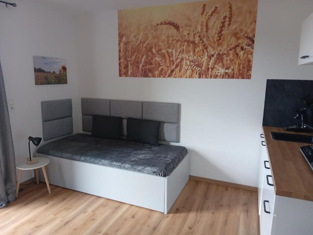 Apartamento Ferienbauernhof Neumuehle Gappenach Exterior foto