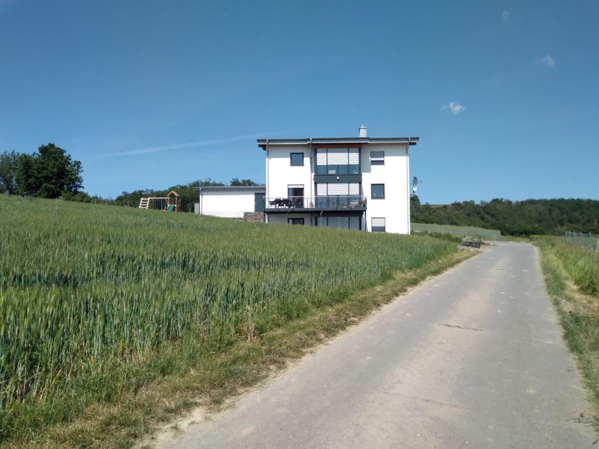 Apartamento Ferienbauernhof Neumuehle Gappenach Exterior foto